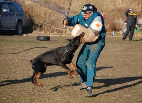 Training in Estonia 30.3 - 1.4. 2007